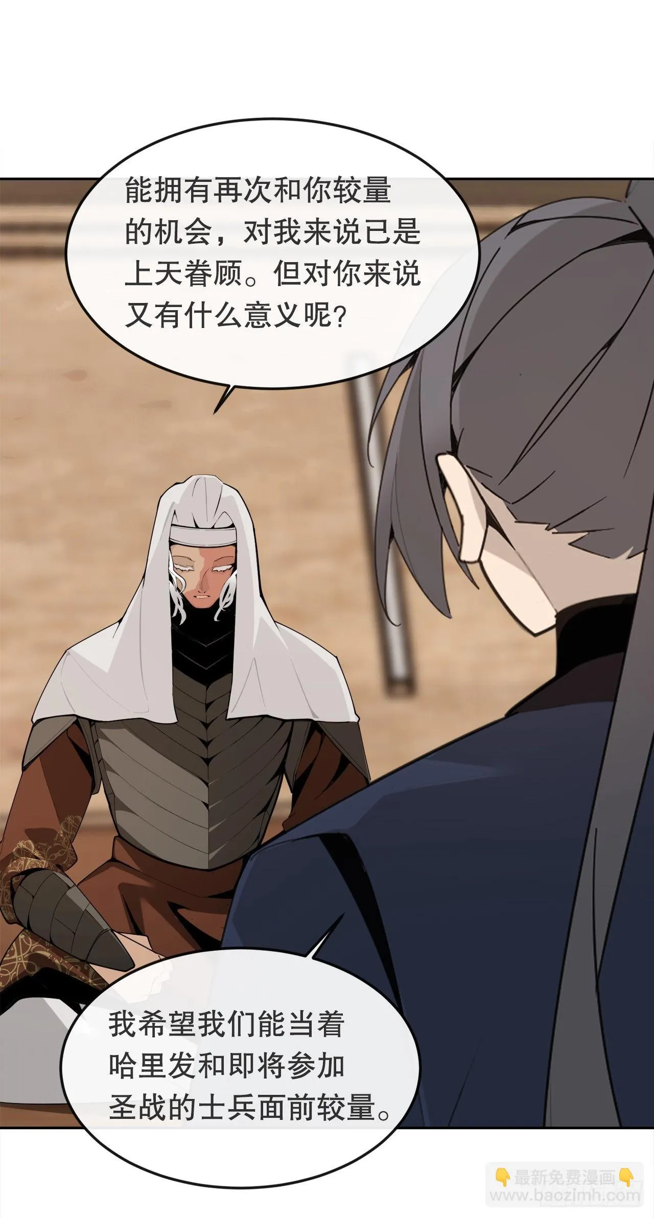 456.南部萨拉丁 第9页
