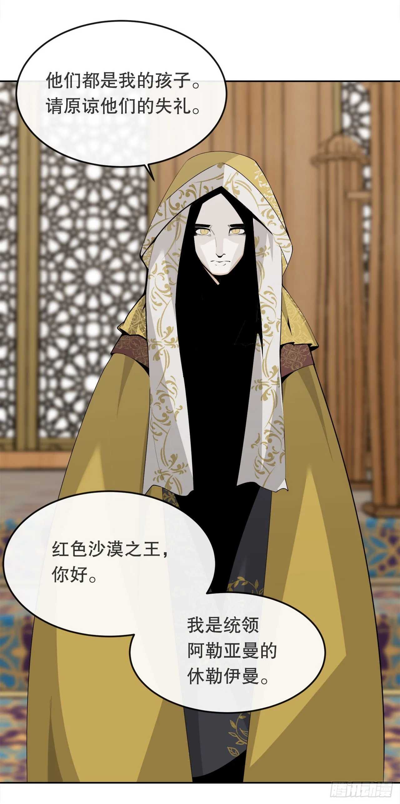 456.南部萨拉丁 第35页