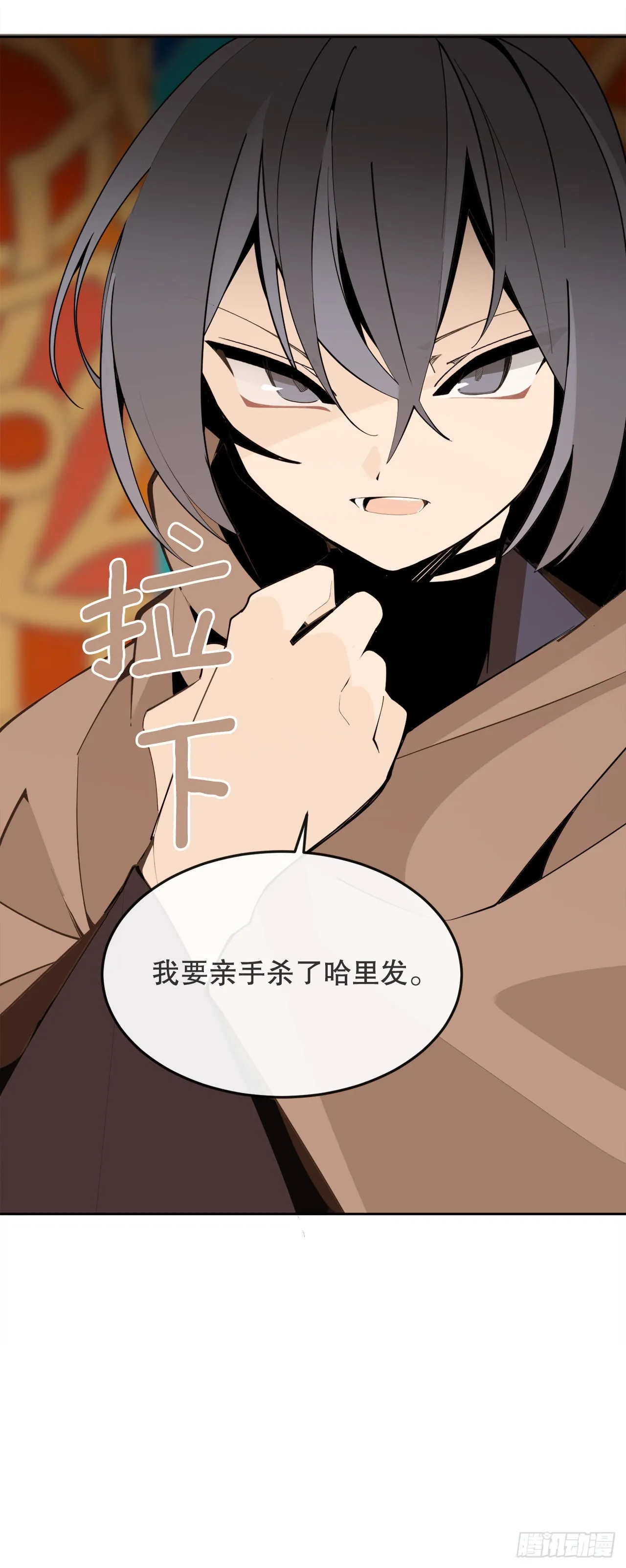 456.南部萨拉丁 第47页