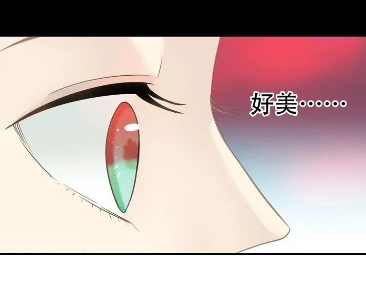 第五十四章 她回来了？ 第61页