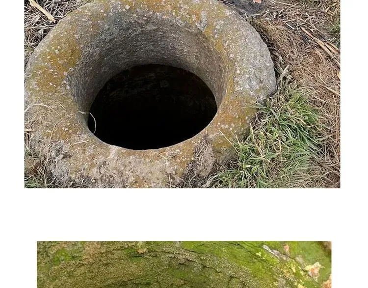 第四十八章 你自由了 第104页