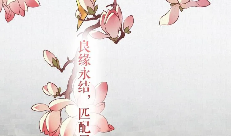 特辑执子之手与子偕老 第41页