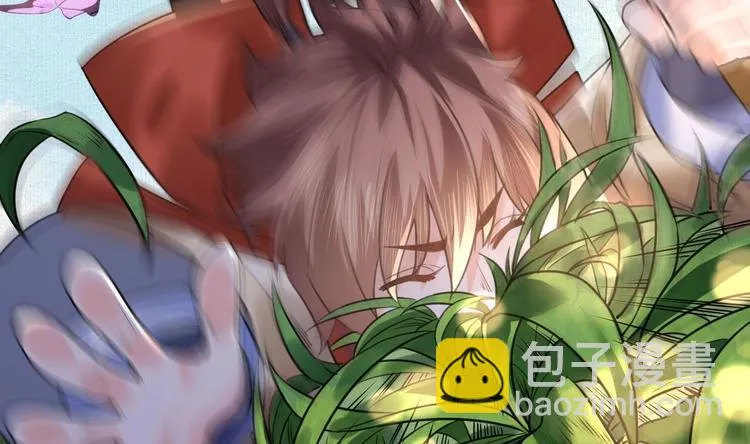 特辑偏爱 第37页