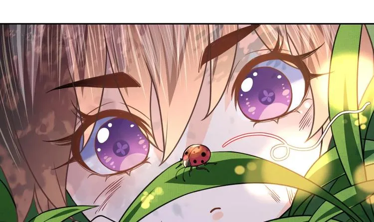 特辑偏爱 第39页