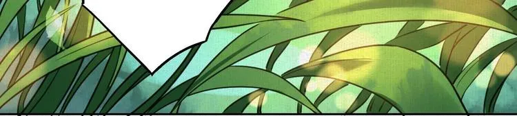 特辑偏爱 第78页