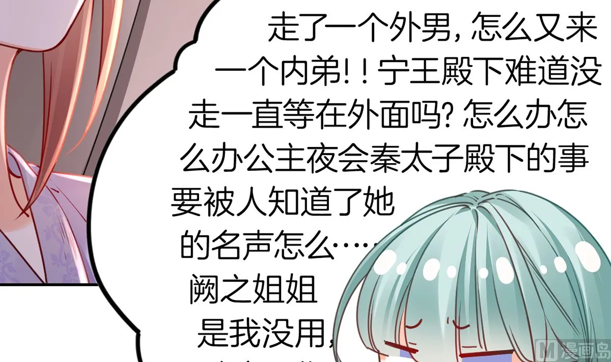 第42话 出嫁北秦 第12页