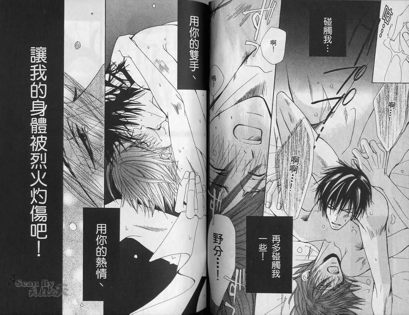 第2卷 第41页