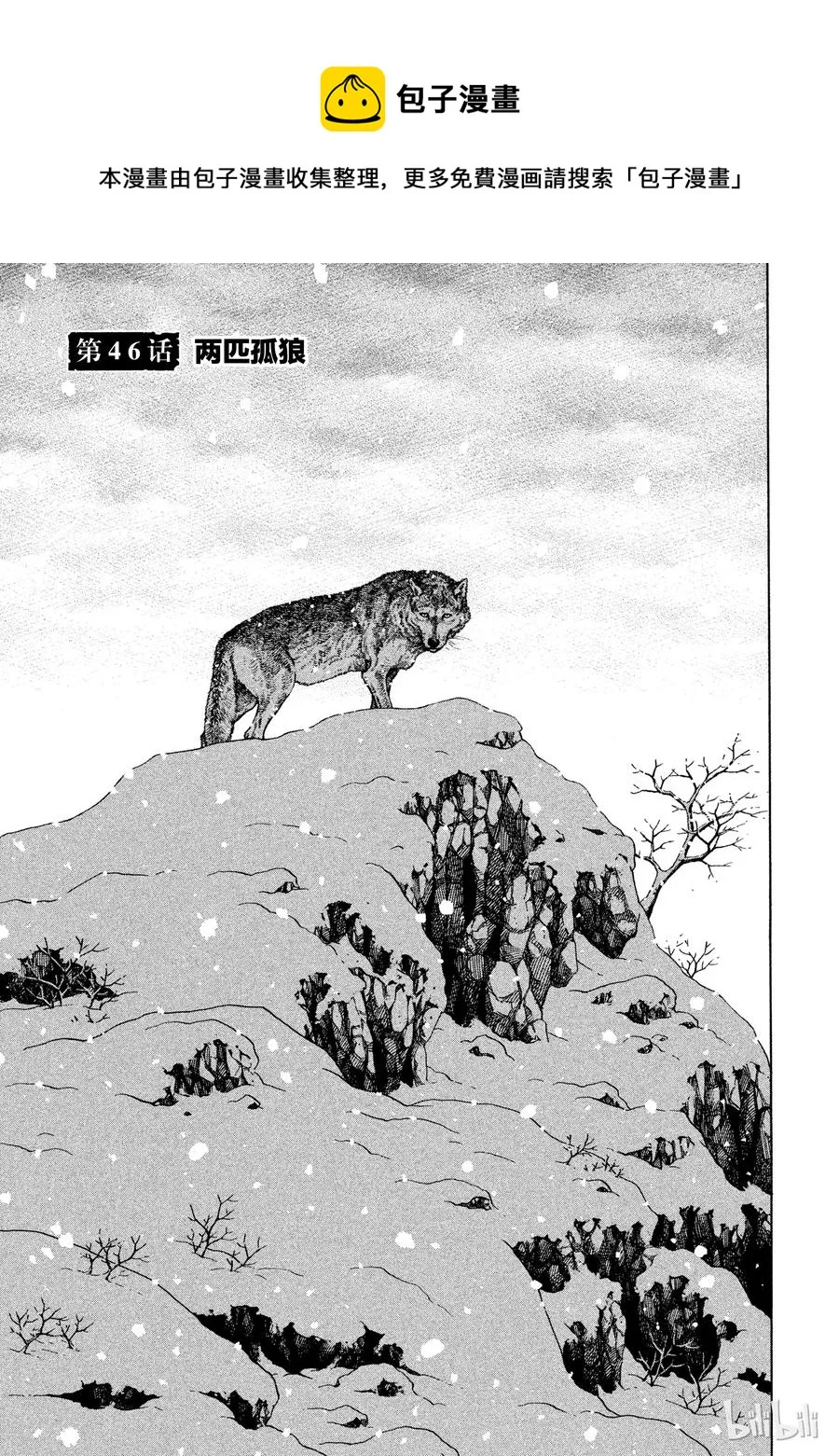 046 两匹孤狼 第1页