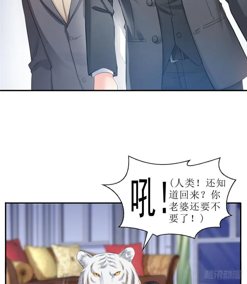 第六十六话 我要富可敌国！ 第4页