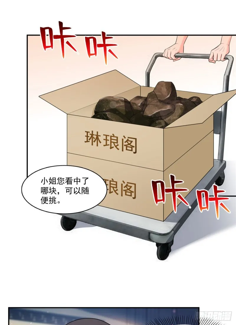 第一百六十七话 真正的帝王绿 第2页