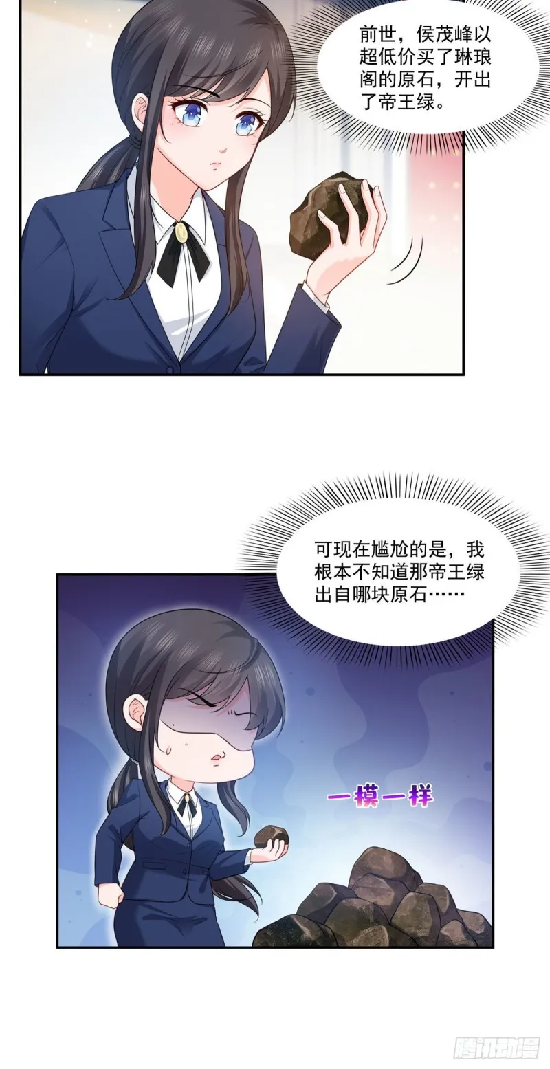 第一百六十七话 真正的帝王绿 第3页