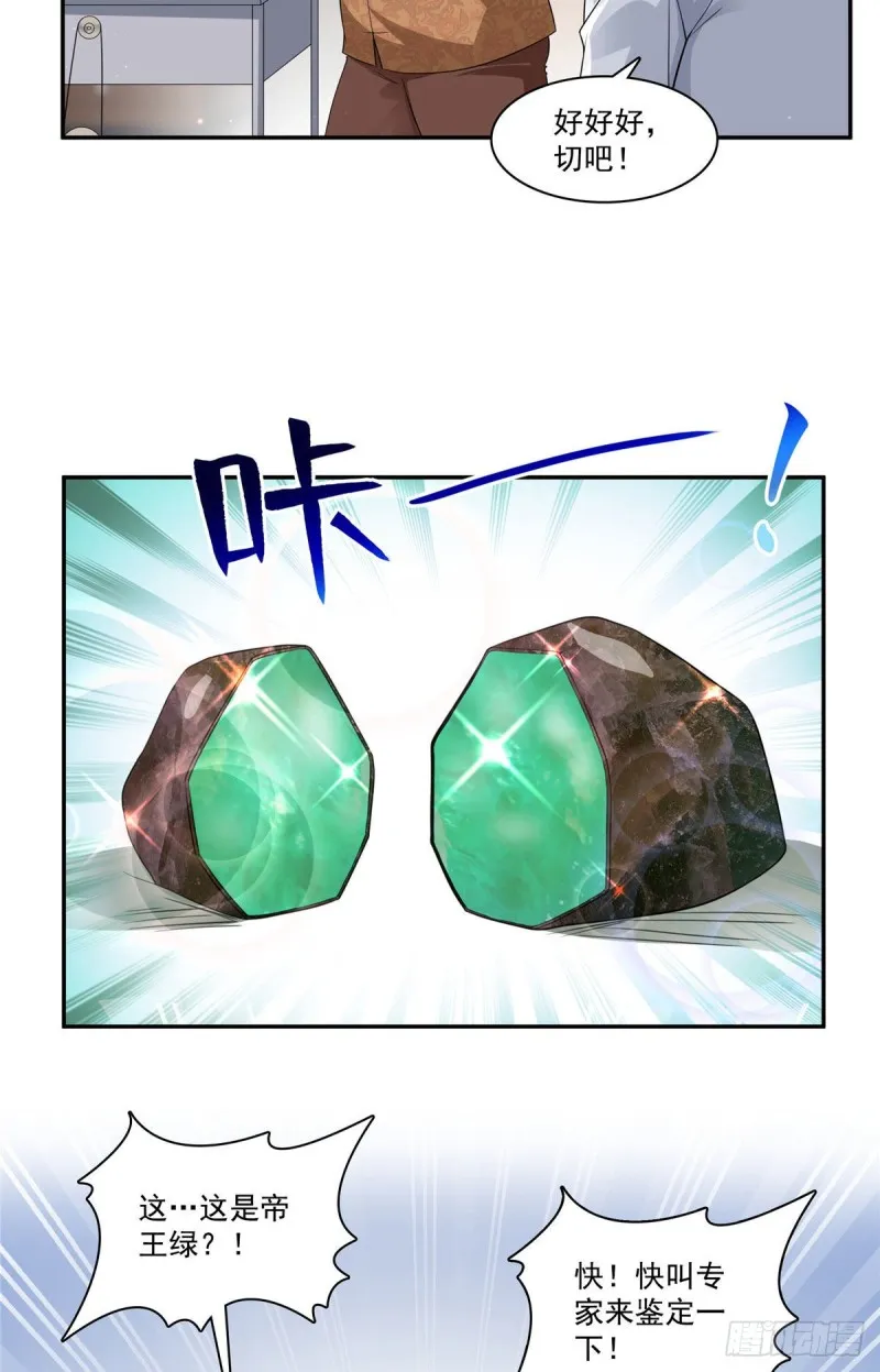 第一百六十七话 真正的帝王绿 第13页