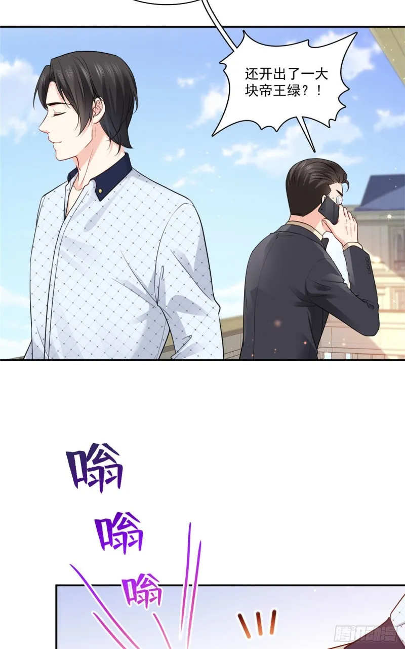 第一百六十七话 真正的帝王绿 第28页