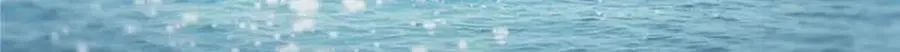第518话 旁嫡之战 第42页