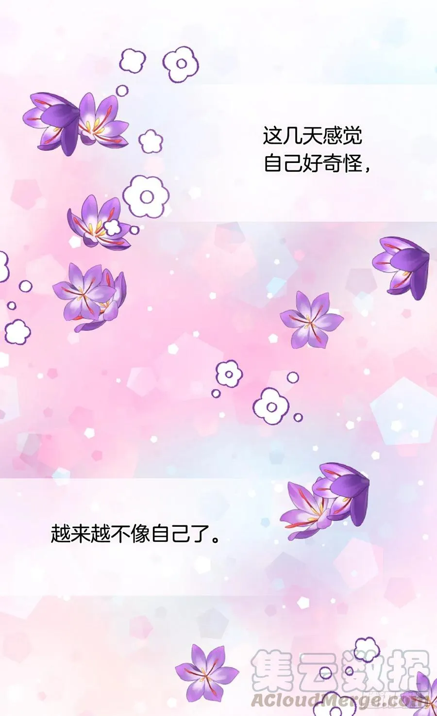 那朵银色的花 第17页