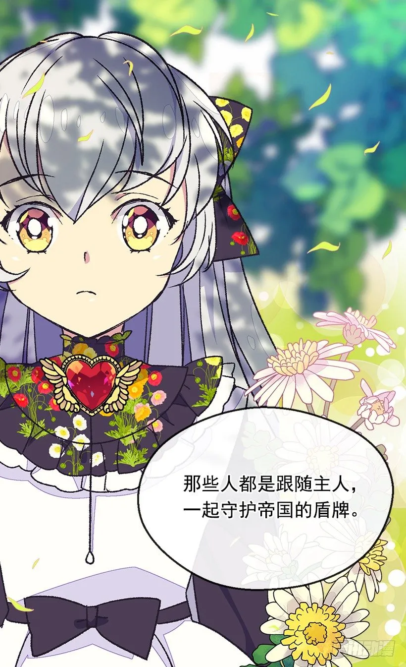 帝国的盾牌 第11页