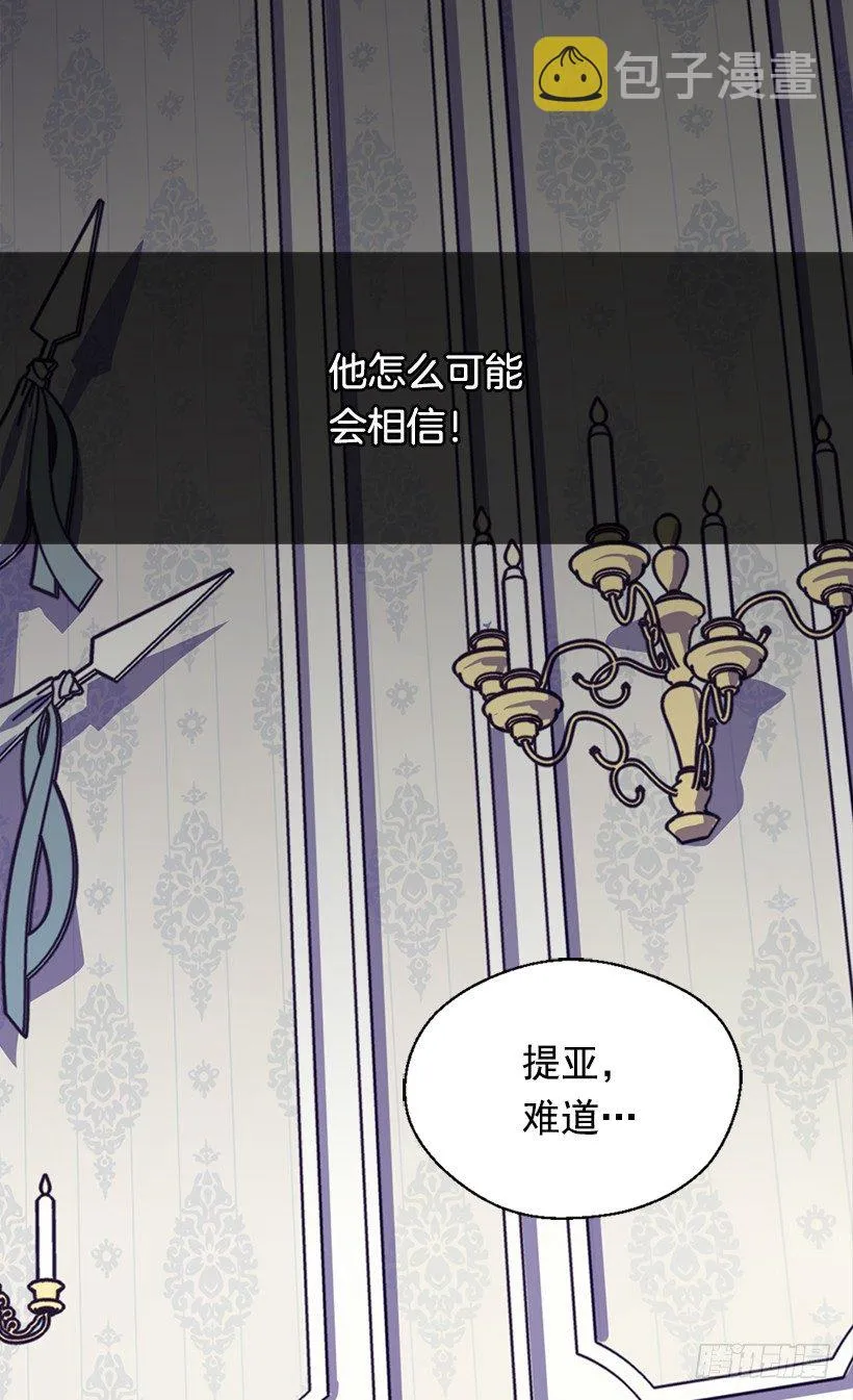 帝国的盾牌 第31页