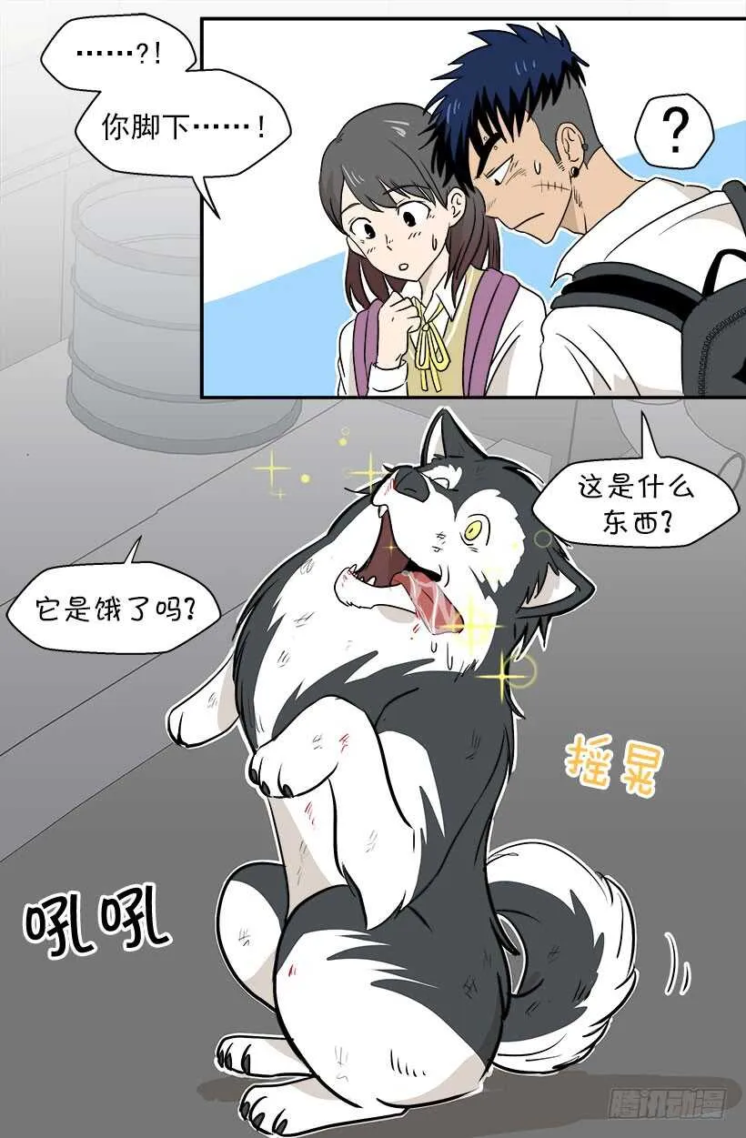贵重的礼物 第3页