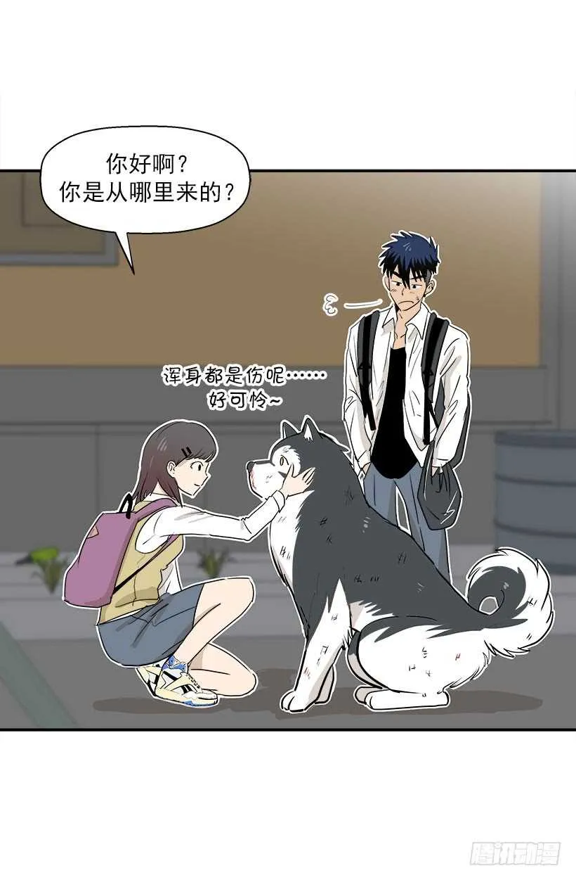 贵重的礼物 第4页