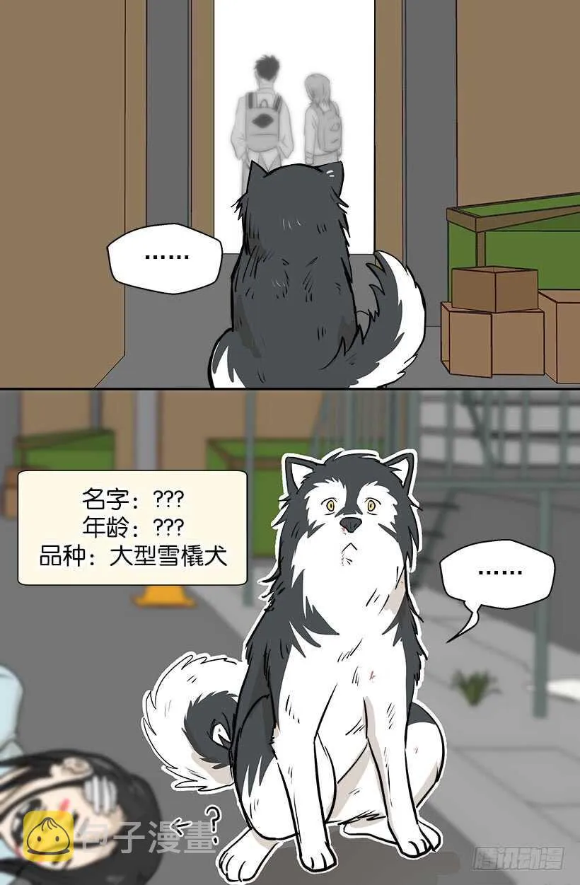 贵重的礼物 第7页