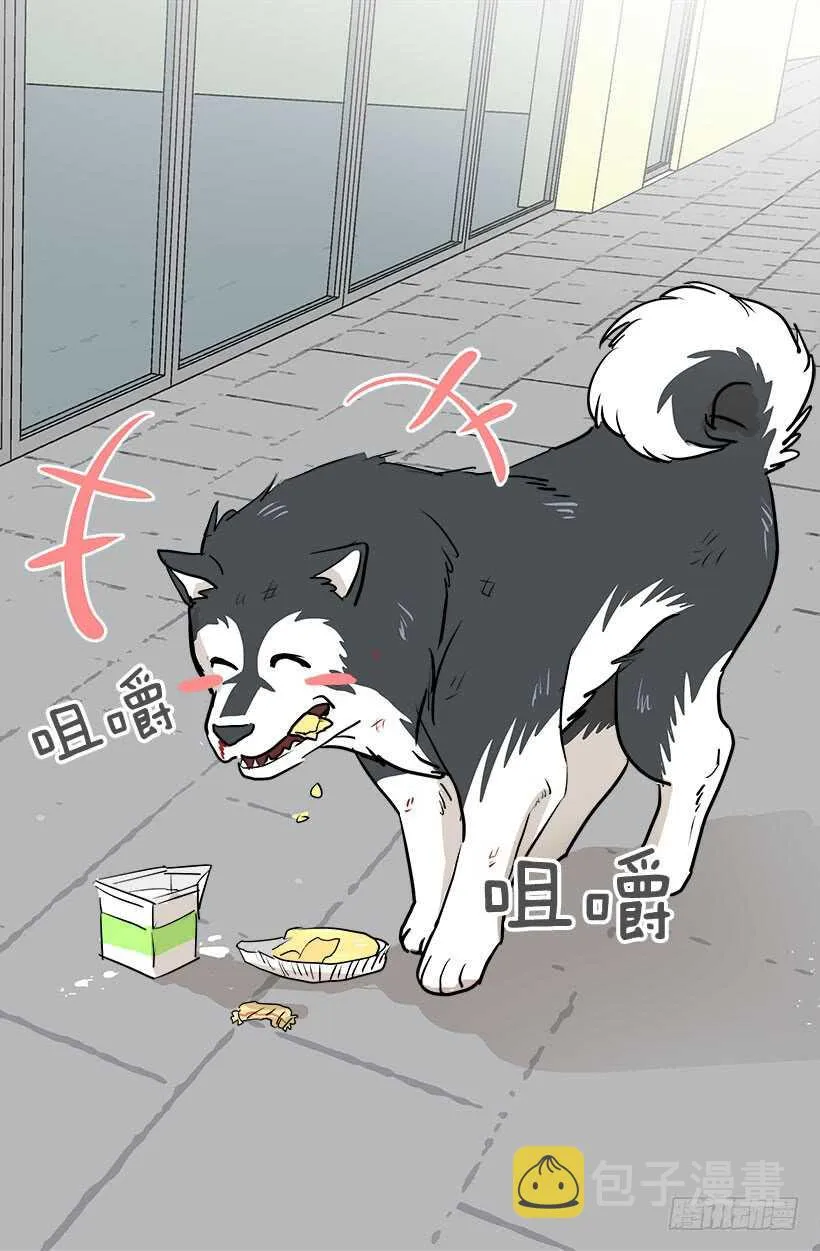 贵重的礼物 第17页