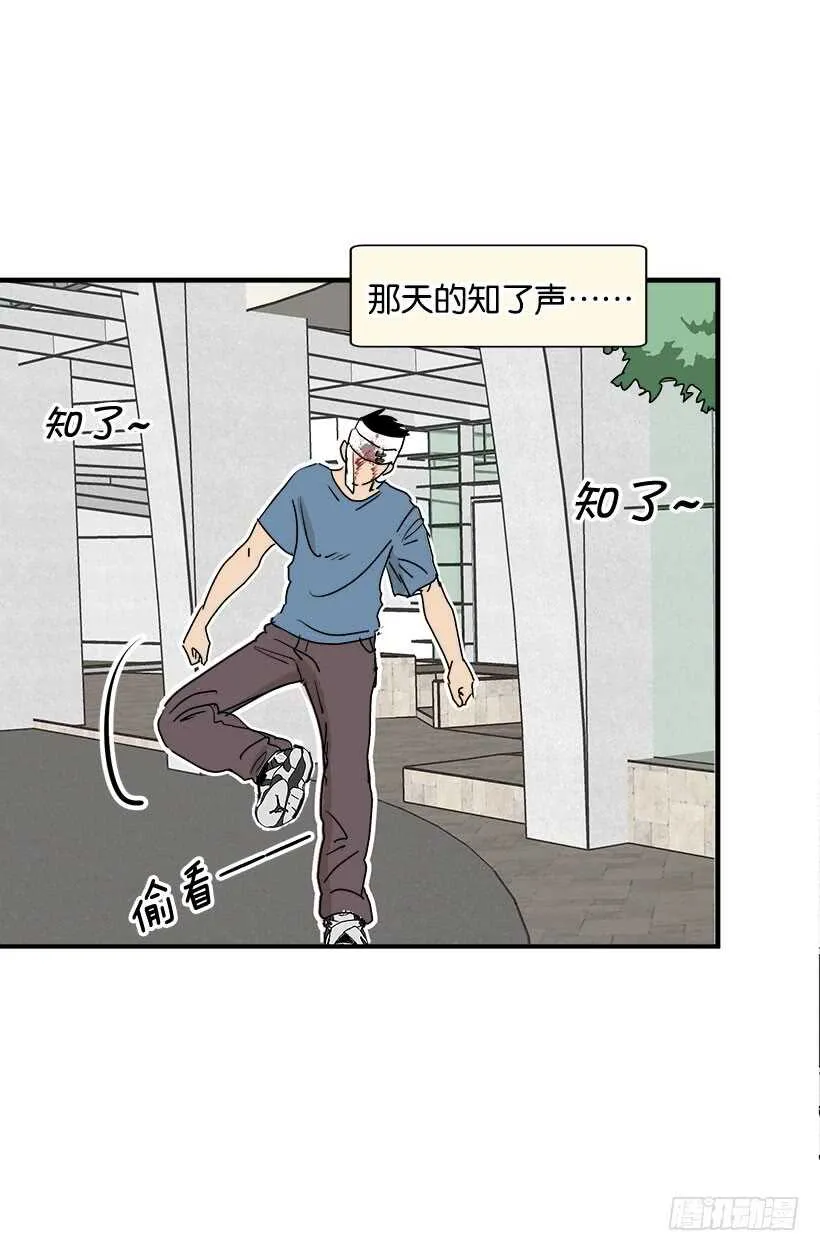 最年轻的骑士 第14页