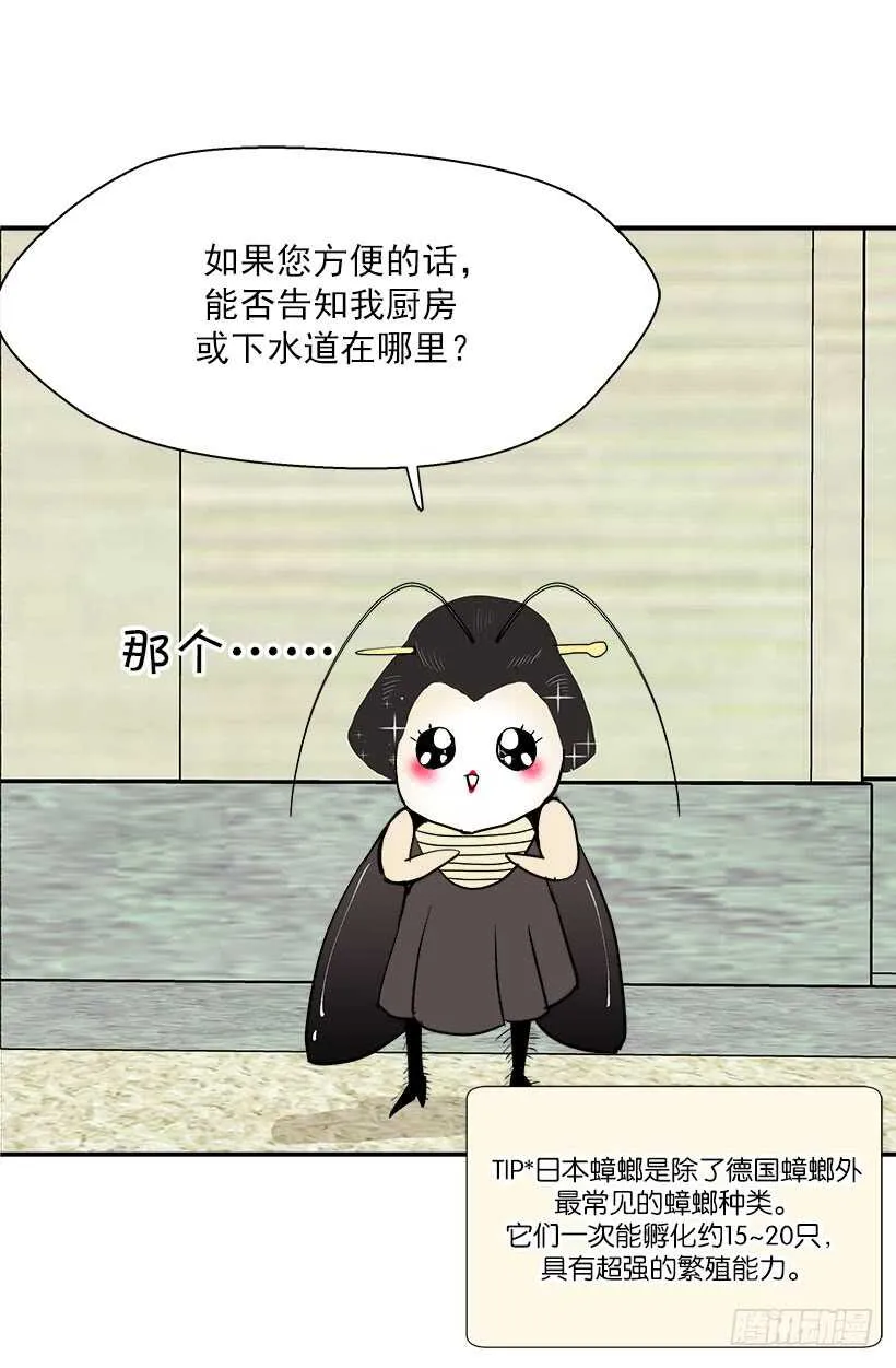 在向我示威吗 第11页