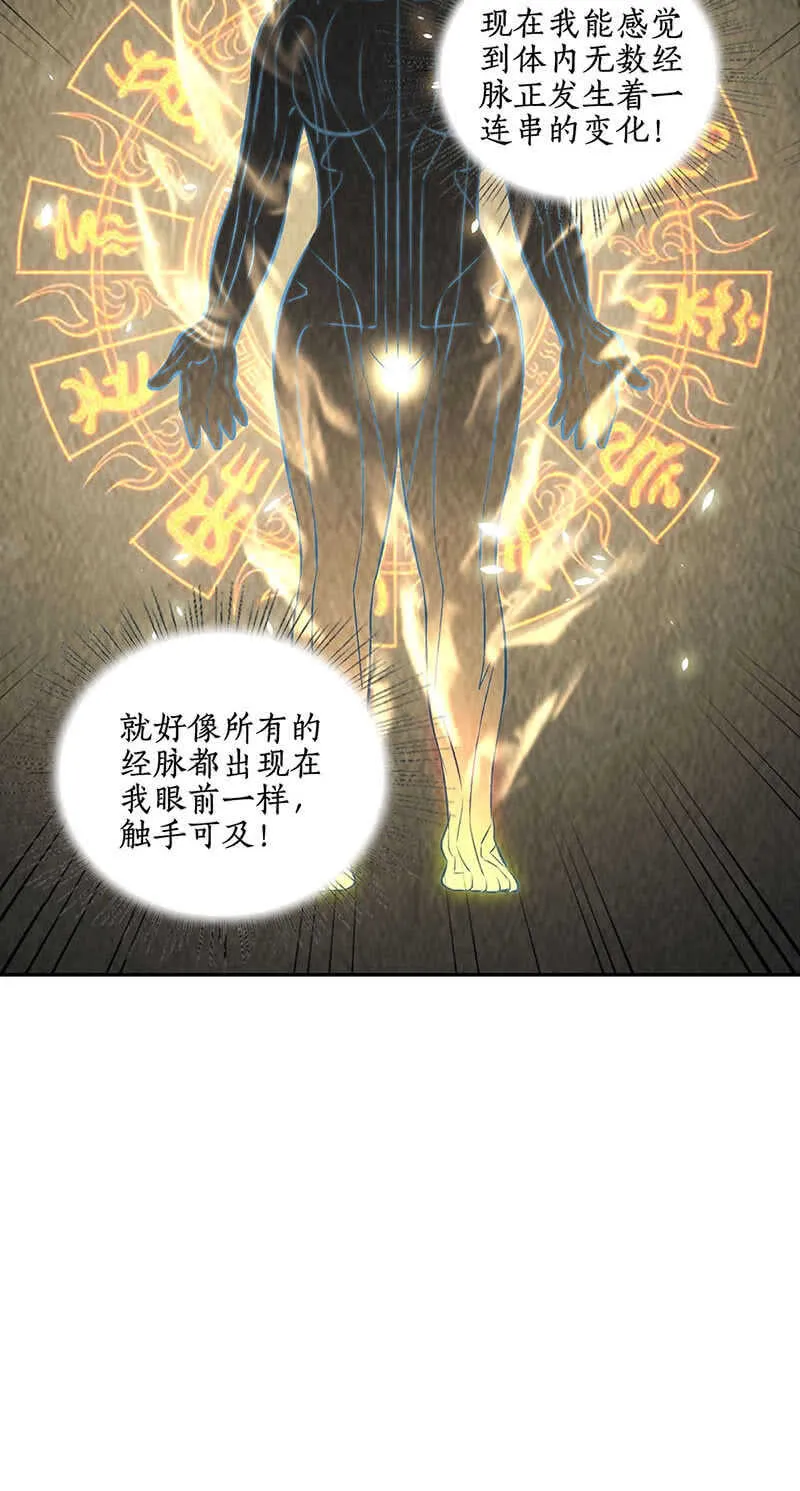 继承家主之位 第15页
