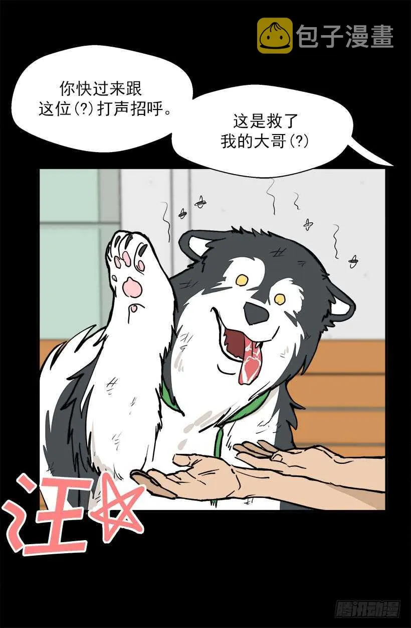宫里的信 第15页