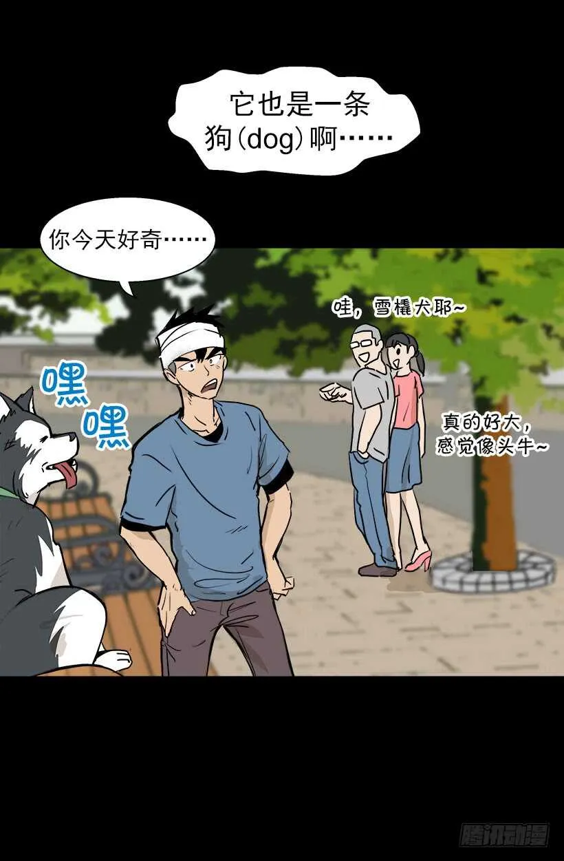 宫里的信 第19页