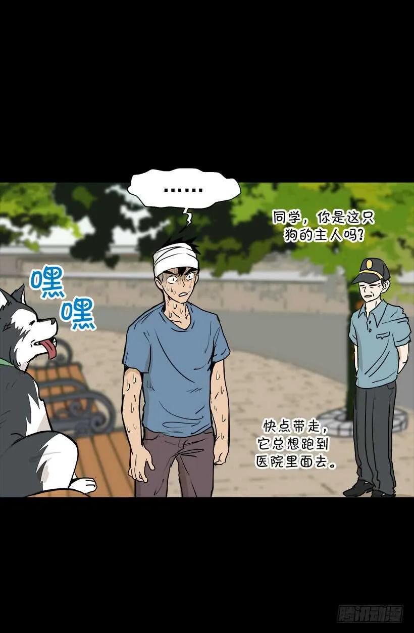 宫里的信 第21页