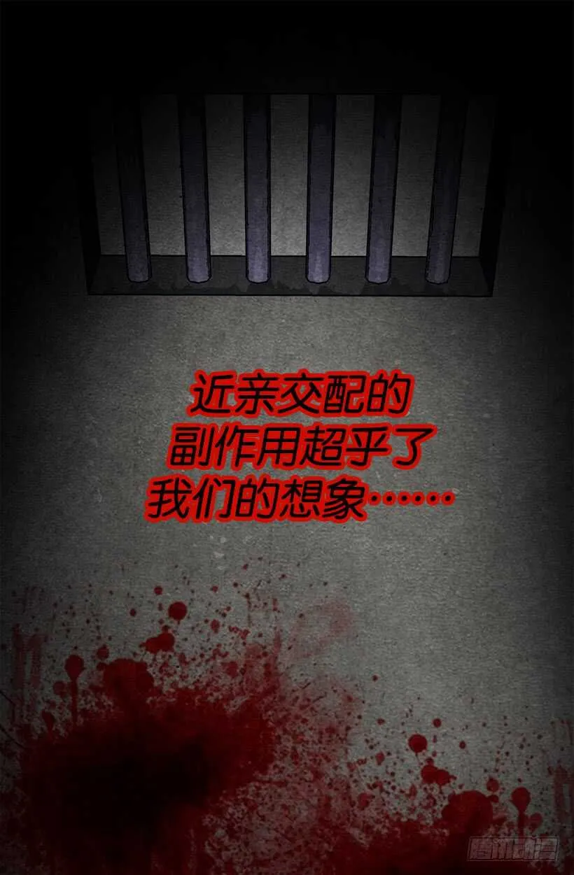 眼力见不错 第17页