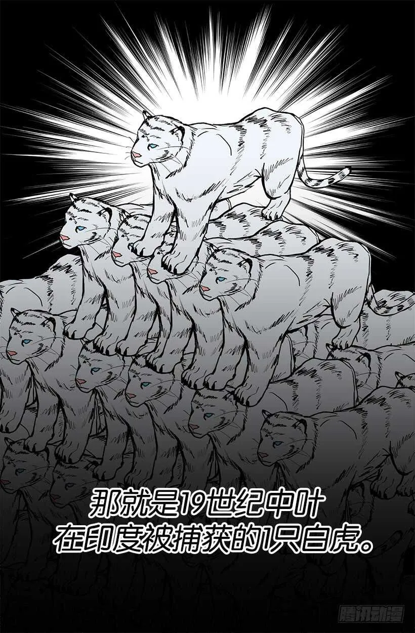 随波逐流 第6页