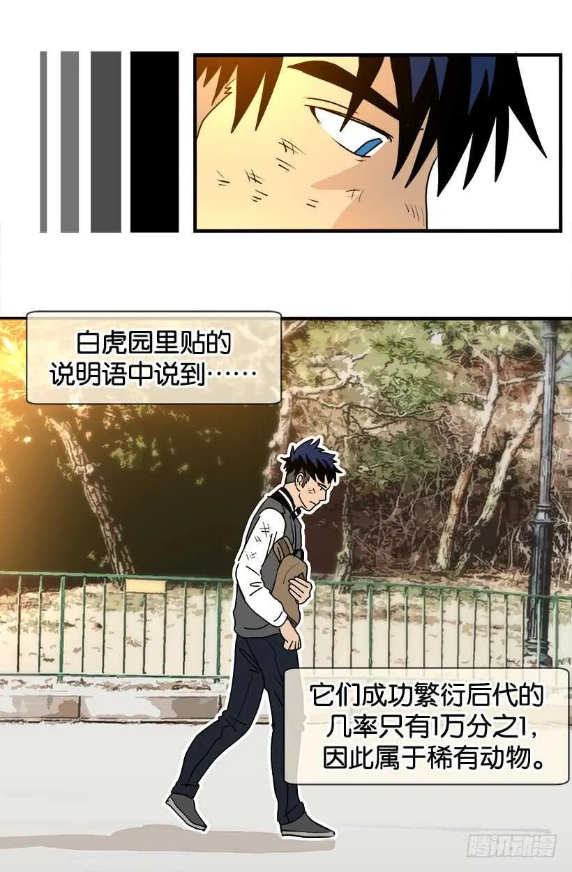 随波逐流 第11页