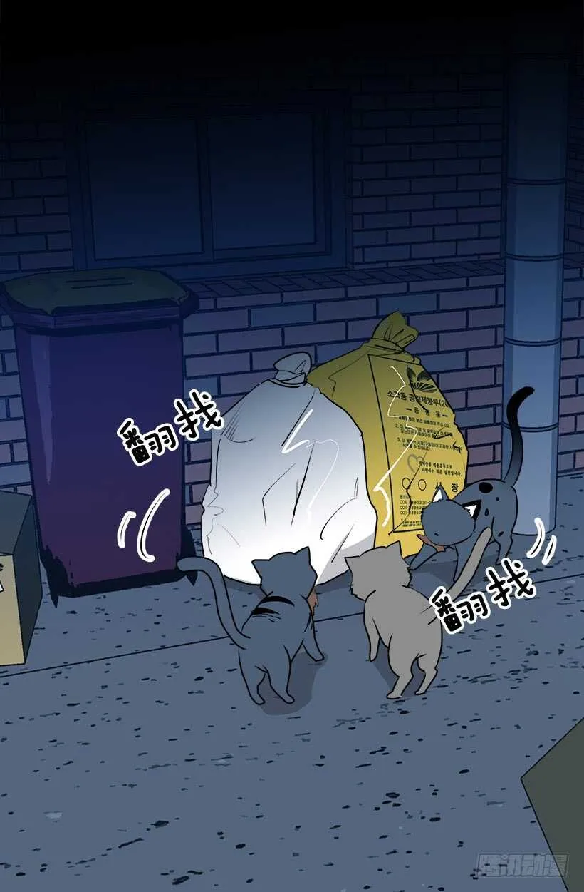 何去何从 第4页