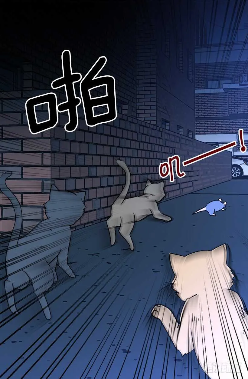 何去何从 第6页