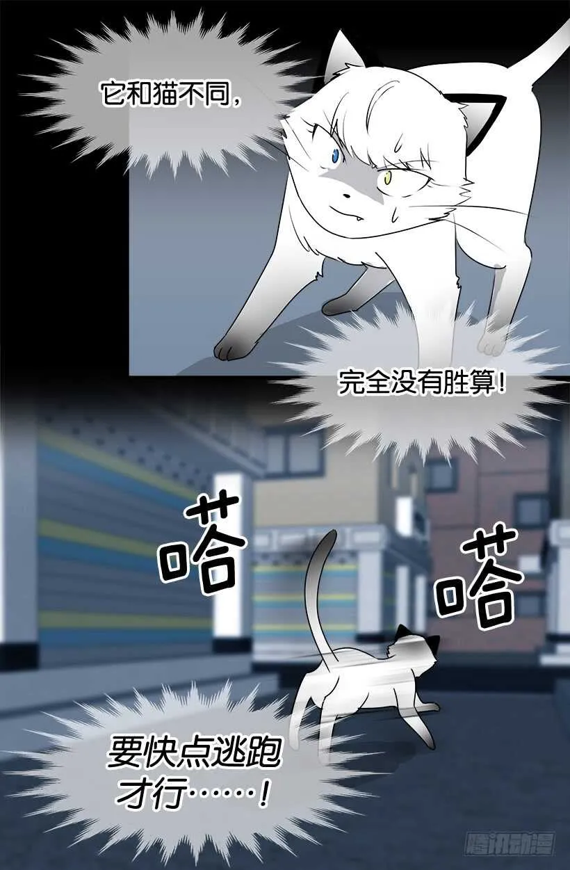 第一季完结篇 第10页