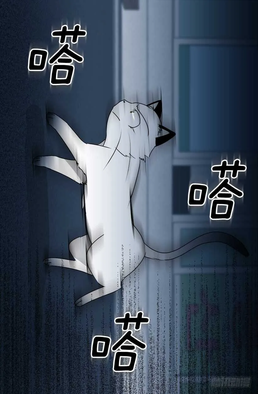 第一季完结篇 第11页