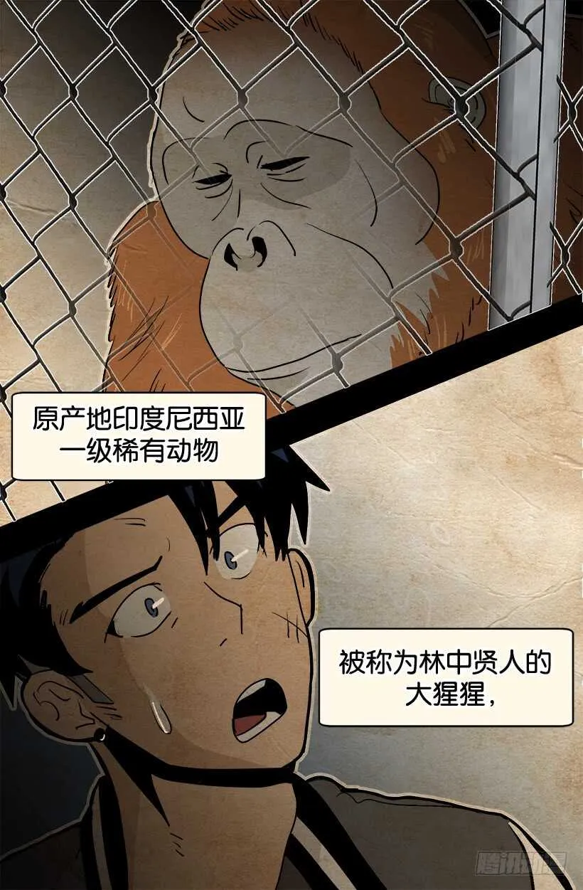 你会先见到她 第14页