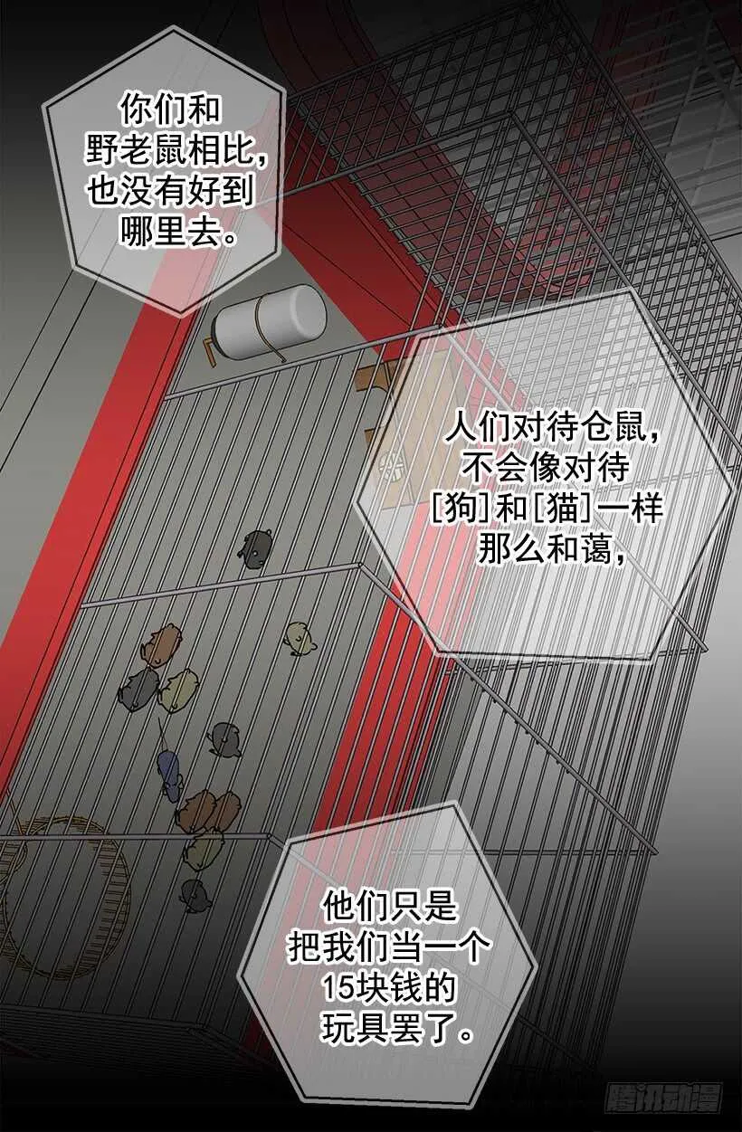 这是给你的 第8页