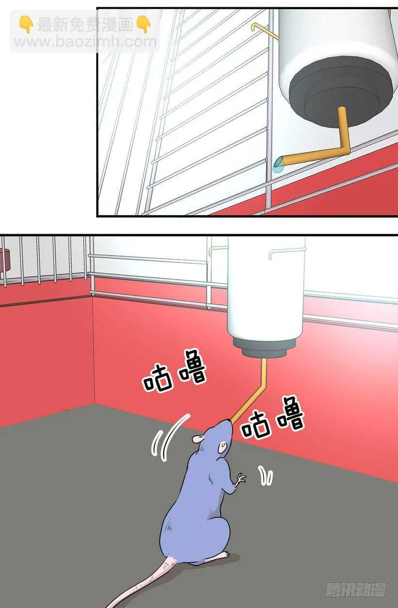 这是给你的 第11页