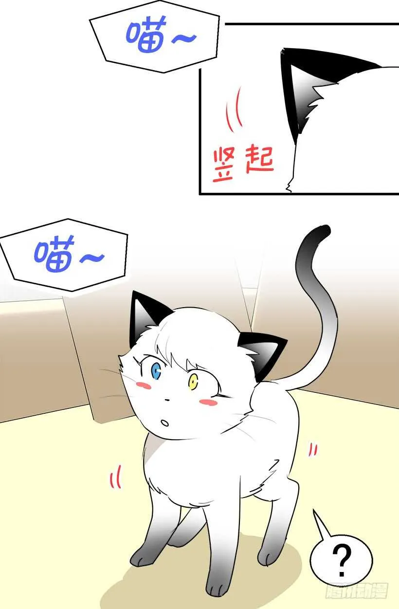 有种距离感 第12页