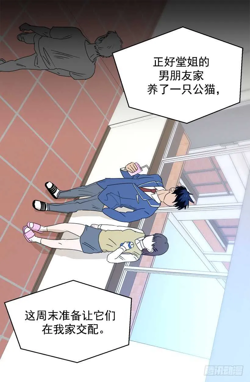 对你很期待 第13页