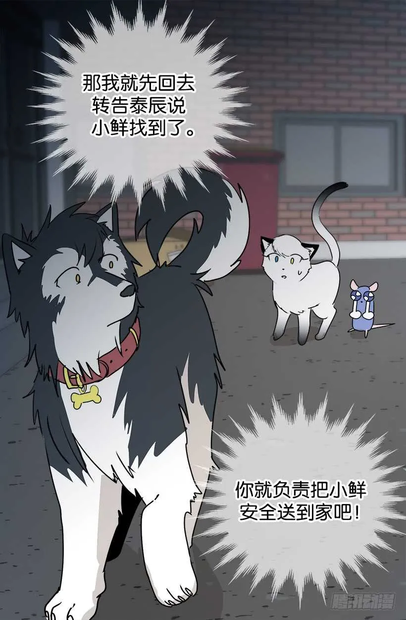 准备周全 第12页