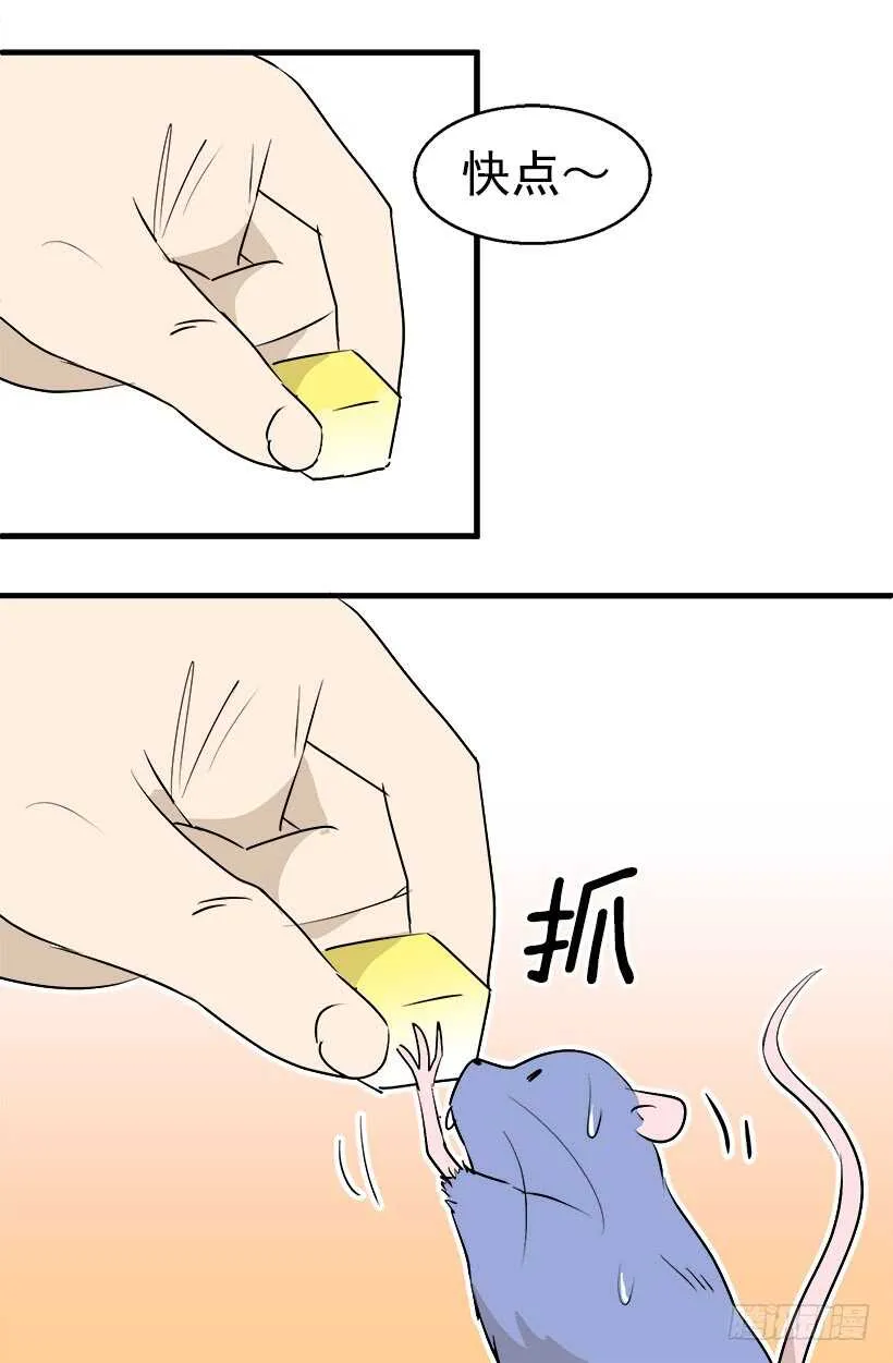 给你忠告 第17页