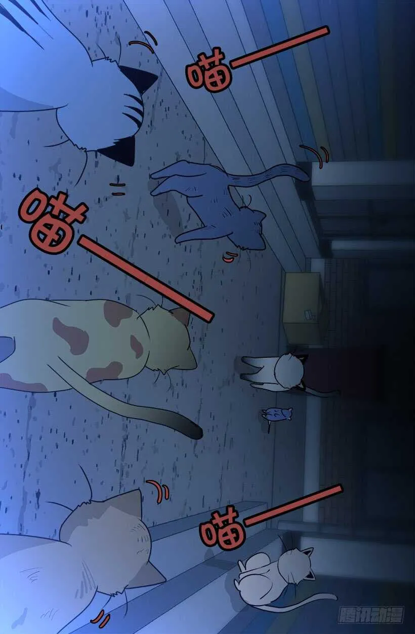 怎么会这样 第10页
