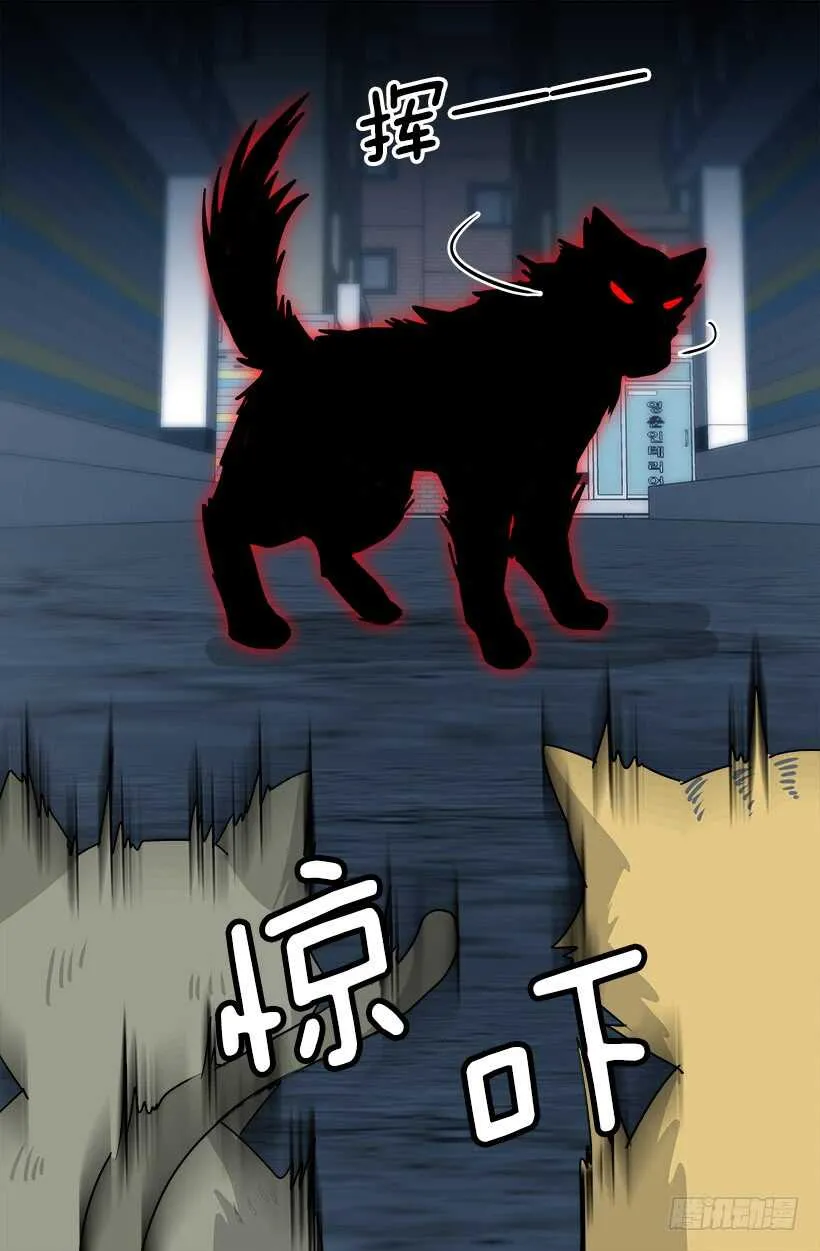 怎么会这样 第19页