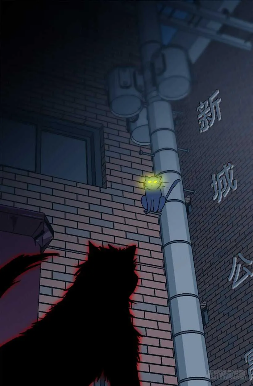 怎么会这样 第24页
