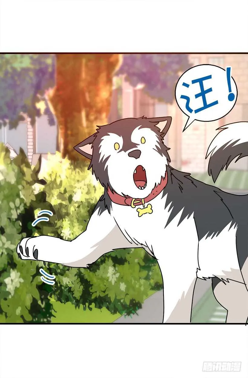 恐怖的画面 第11页