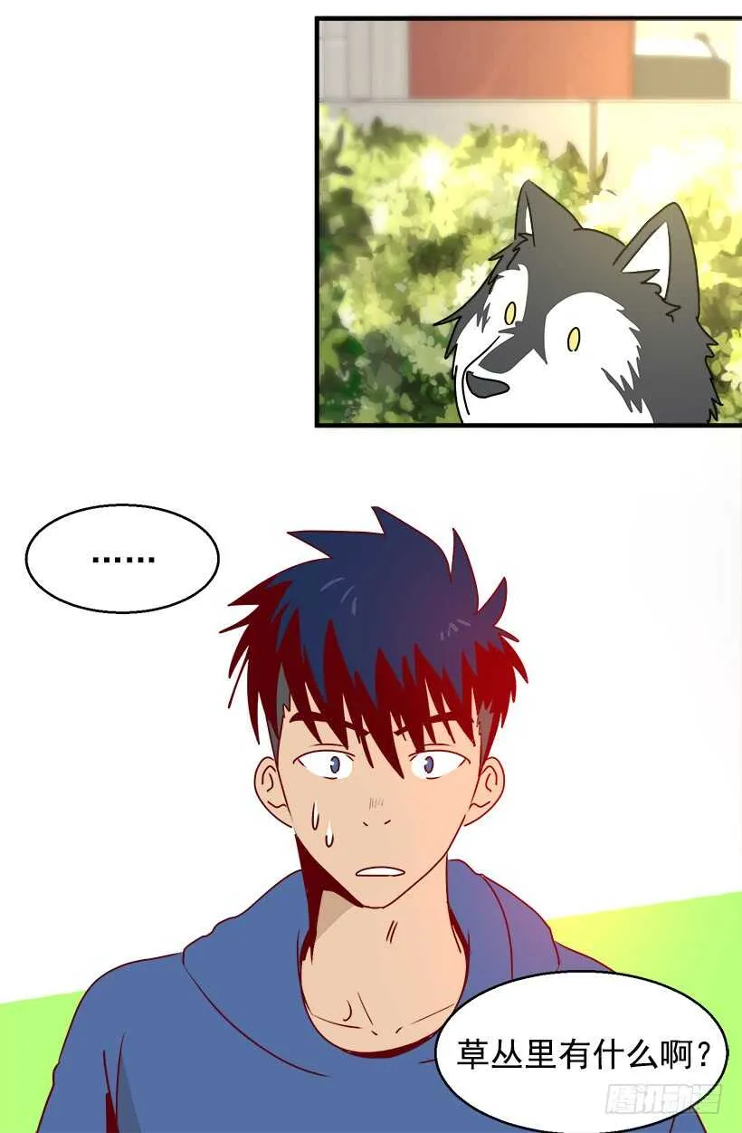 恐怖的画面 第12页